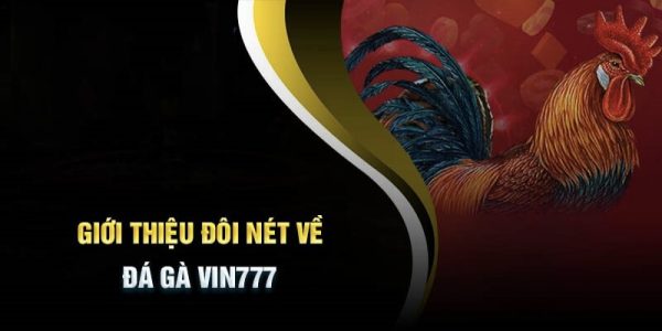 Đá Gà Casino Vin777